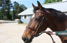 Load image into Gallery viewer, Leather Browband