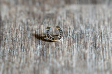 Load image into Gallery viewer, Horseshoe Stock Pin
